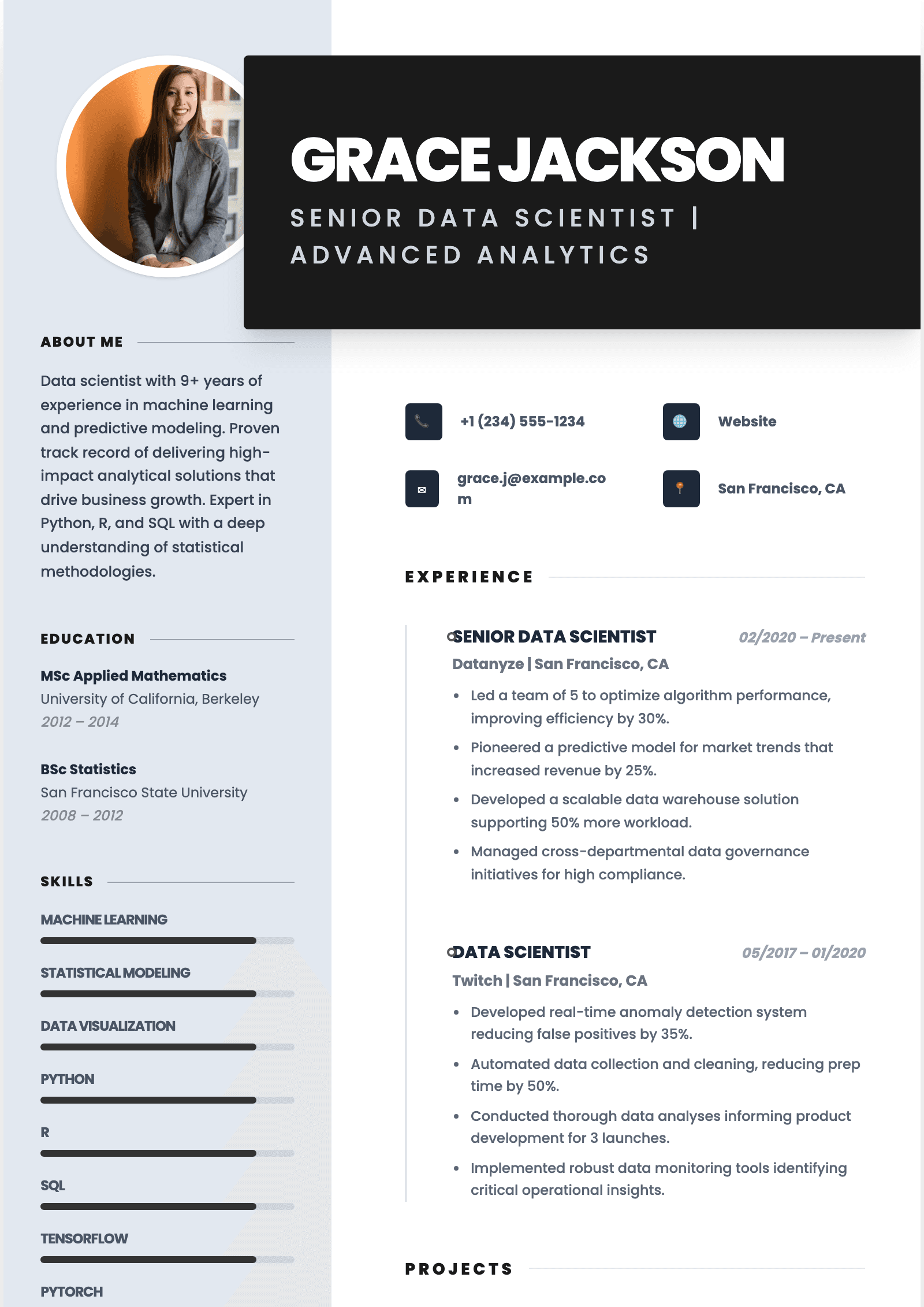 Resume Template Preview