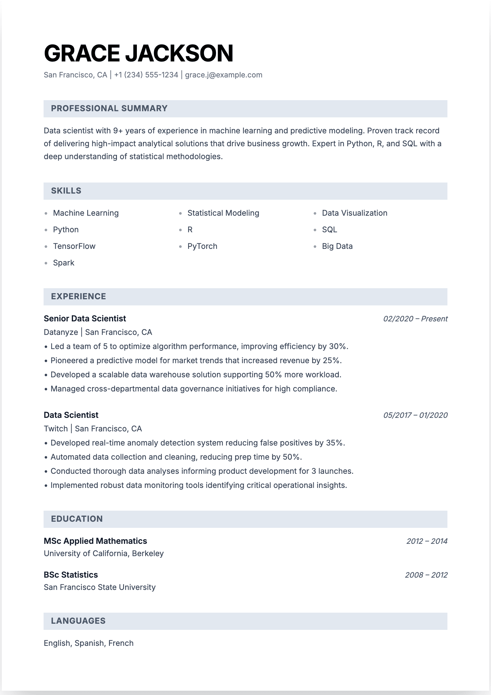 Resume Template Preview
